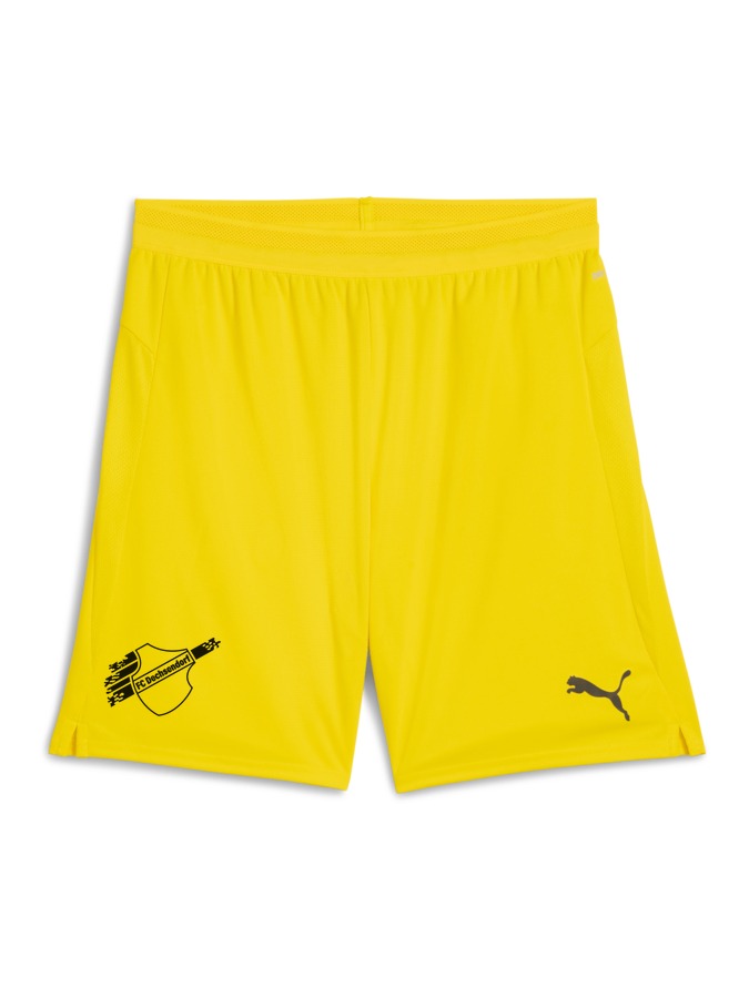PUMA teamCUP Shorts
