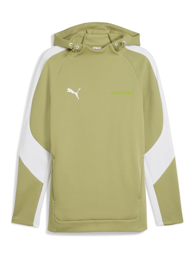 PUMA teamEVOSTRIPE Hoody