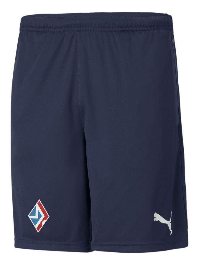 PUMA teamRISE Training Shorts