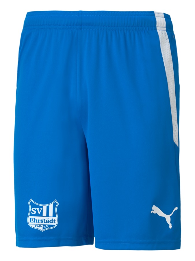 PUMA teamLIGA Shorts