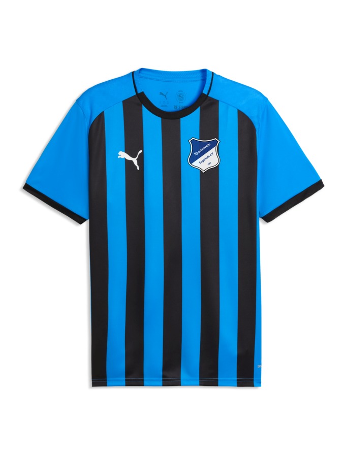 PUMA teamLIGA26 Striped Trikot