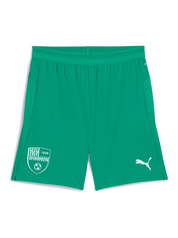 PUMA teamCUP Shorts