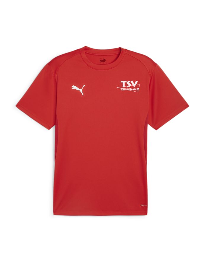 PUMA teamGOAL Trikot
