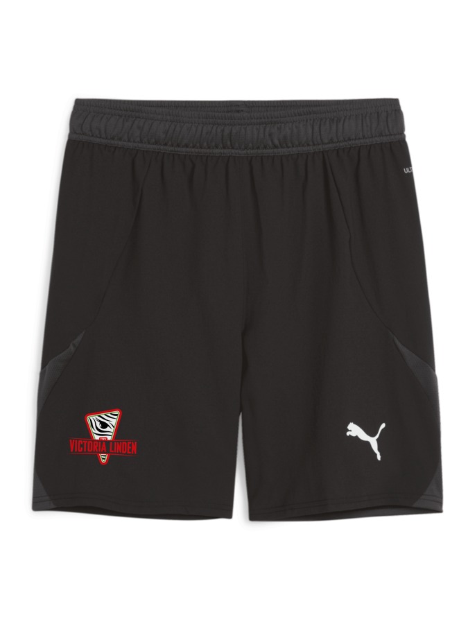 PUMA teamFINAL Shorts