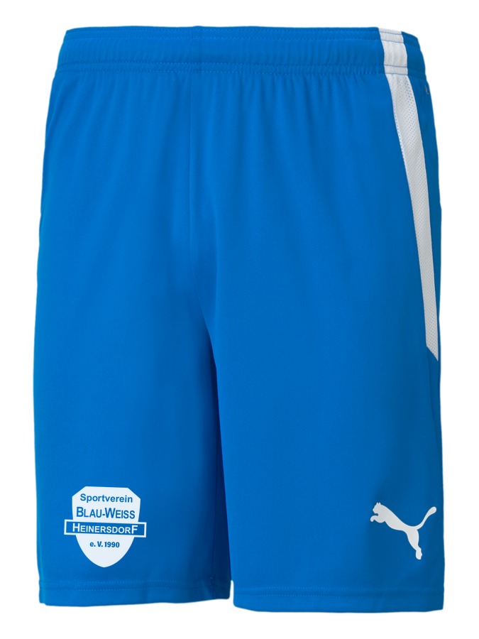 PUMA teamLIGA Shorts
