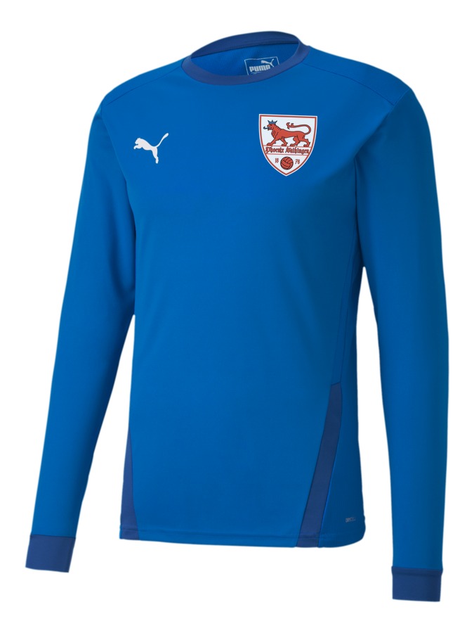 PUMA teamGOAL 23 Longsleeve