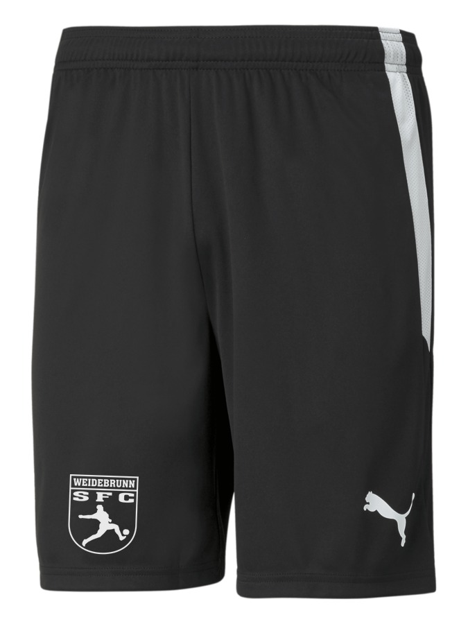 PUMA teamLIGA Shorts
