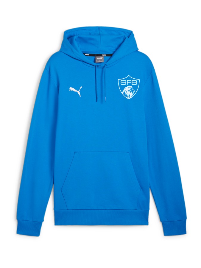 PUMA teamGOAL Casuals Hoody