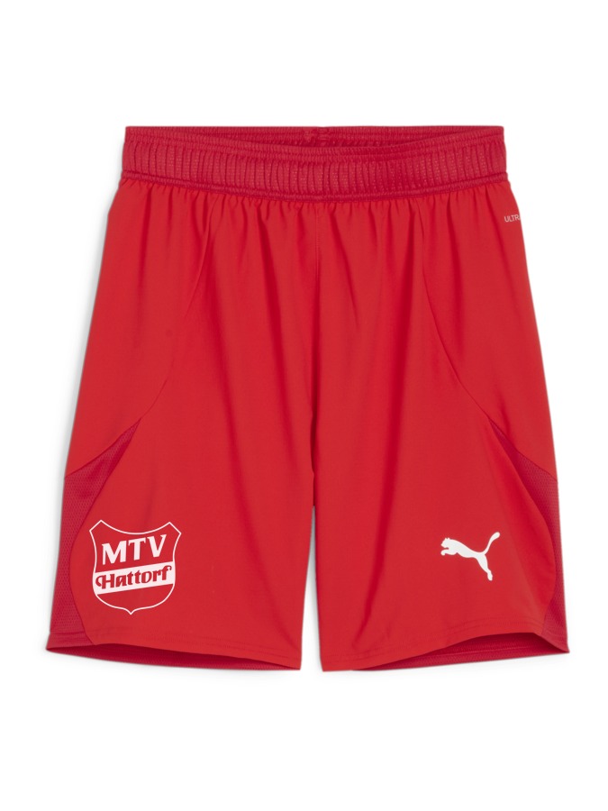 PUMA teamFINAL Shorts