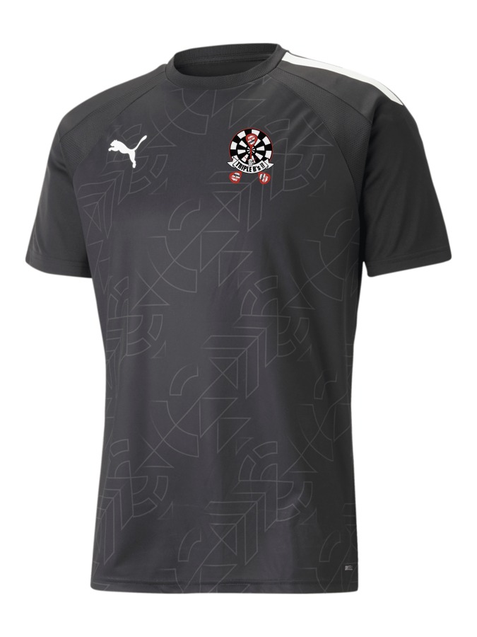 PUMA teamLIGA Graphic Trikot