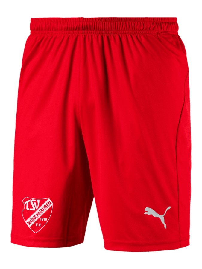 PUMA LIGA Shorts Core