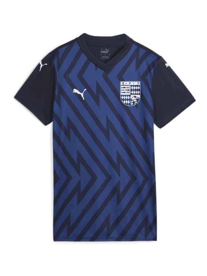 PUMA teamGLORY Trikot Damen