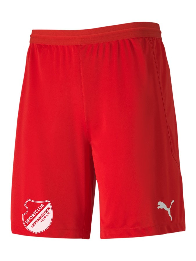 PUMA teamFINAL 21 Knit Shorts