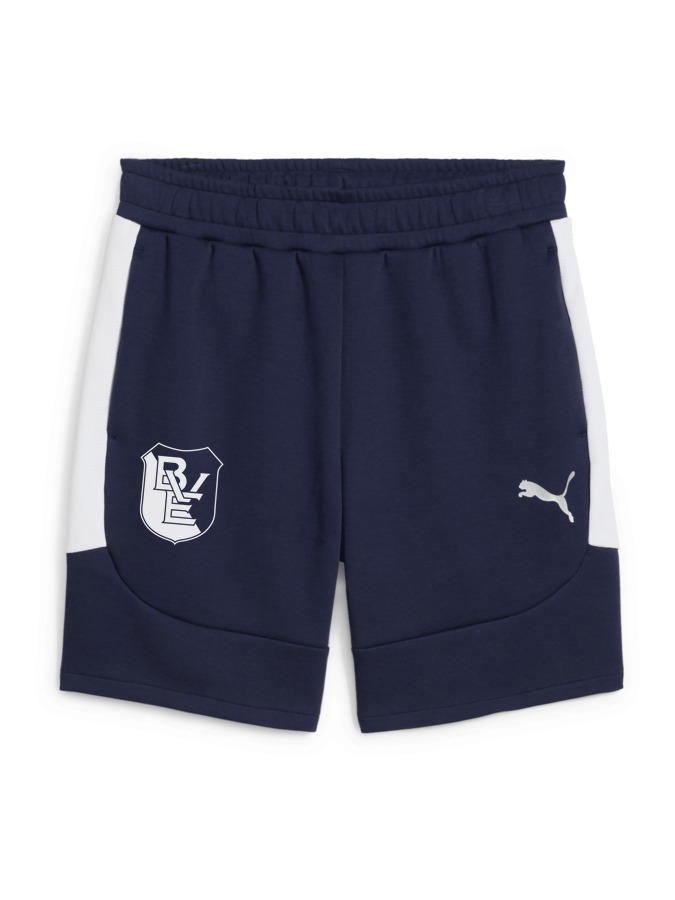 PUMA teamEVOSTRIPE Shorts