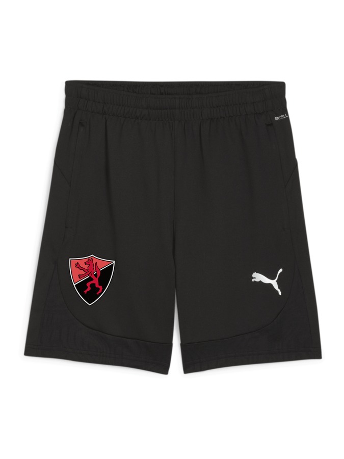PUMA teamFINAL Training Shorts