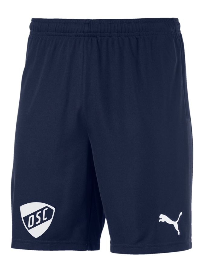 PUMA teamGOAL 23 Knit Shorts