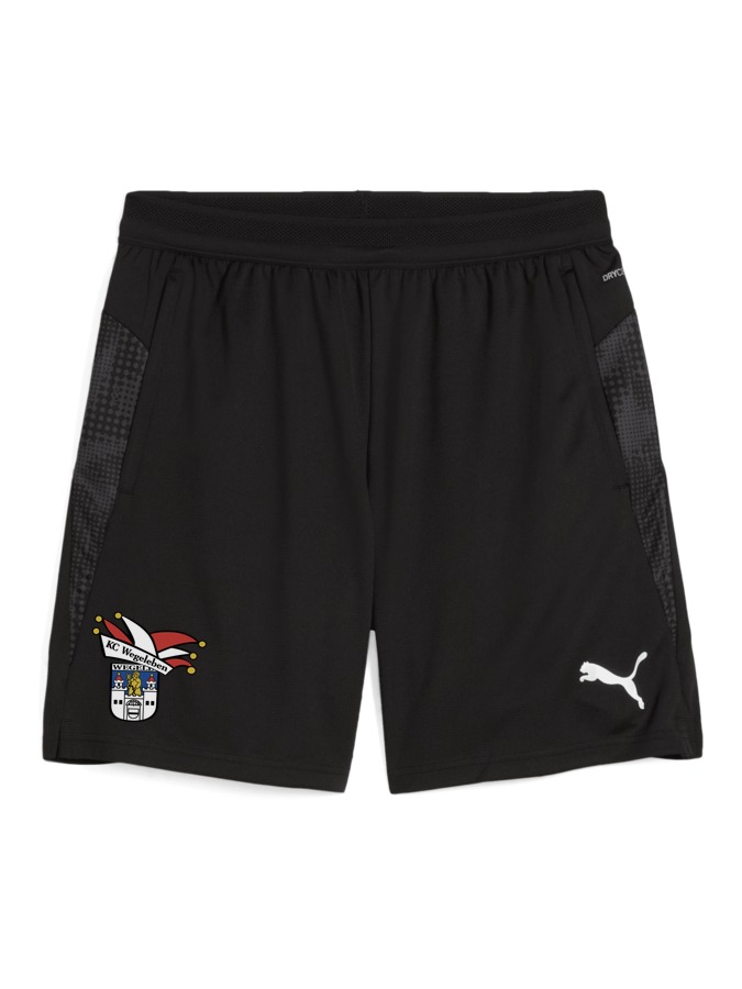 PUMA teamCUP Training Shorts