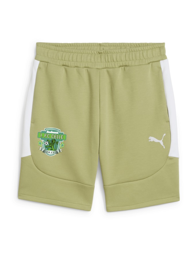 PUMA teamEVOSTRIPE Shorts
