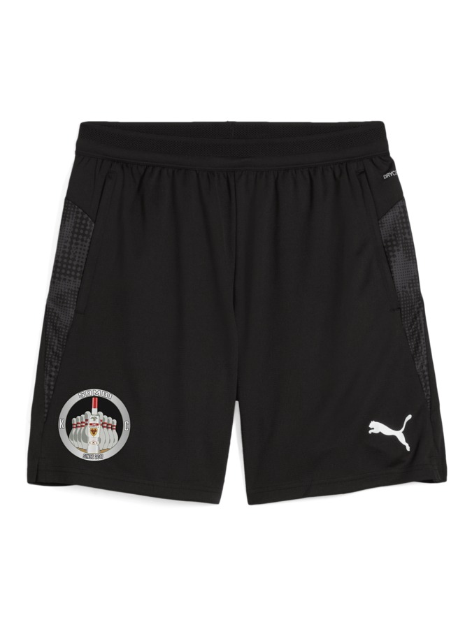 PUMA teamCUP Training Shorts