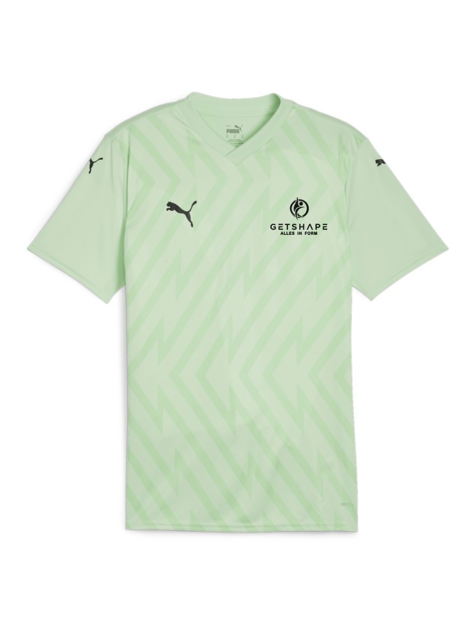 PUMA teamGLORY Trikot