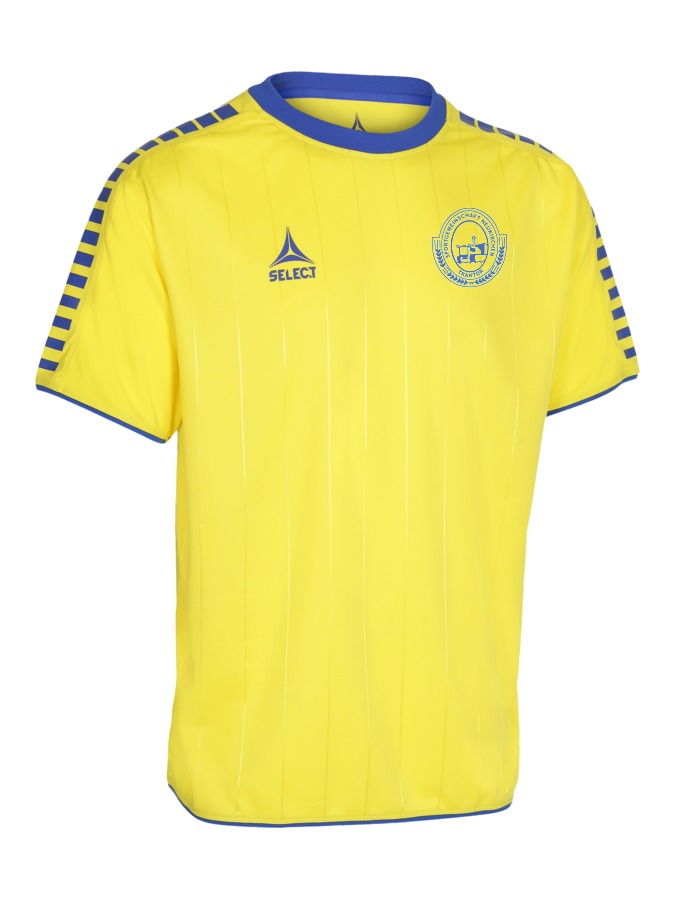 Select Argentina Trikot