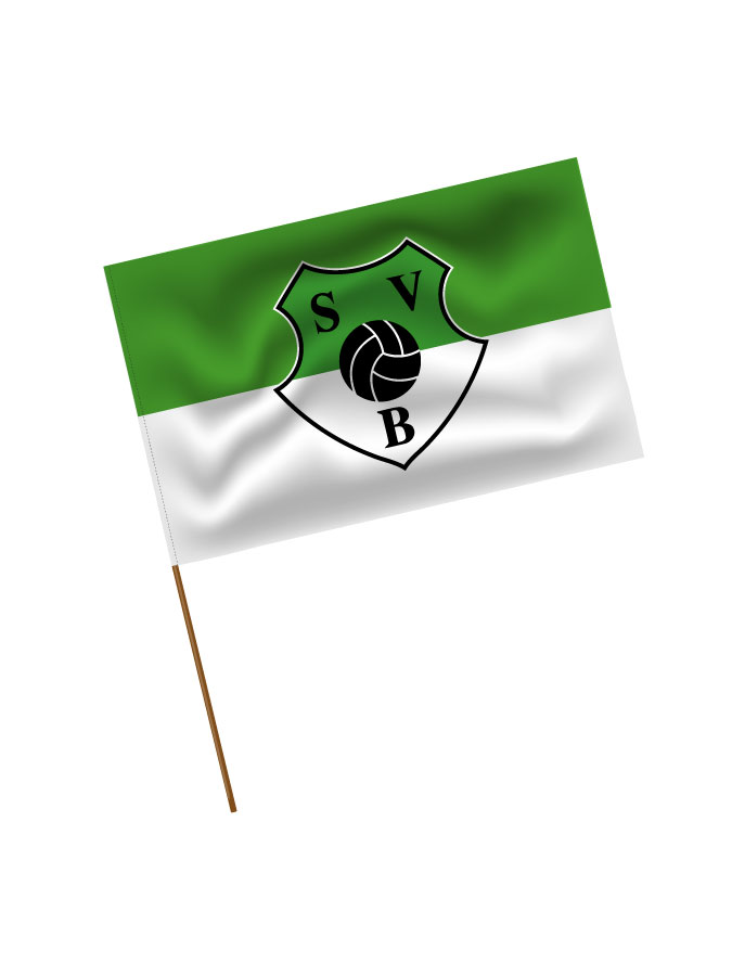 Stadionfahne Logo
