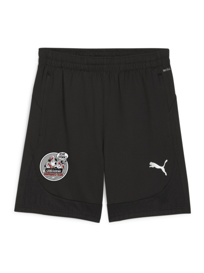 PUMA teamFINAL Training Shorts