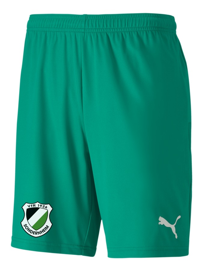 PUMA teamGOAL 23 Knit Shorts