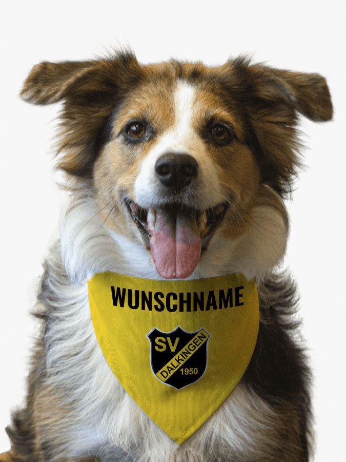 Hundehalstuch