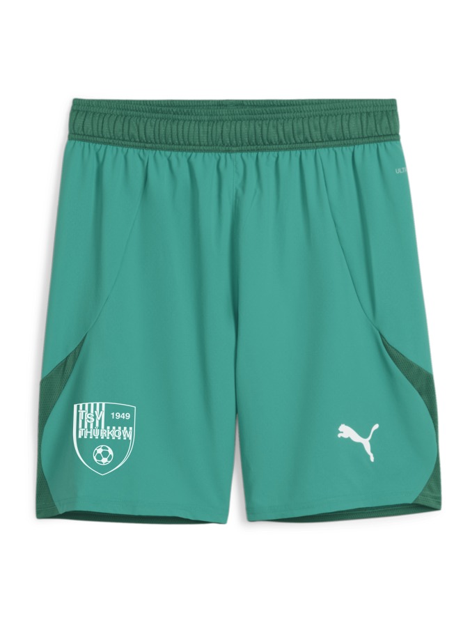 PUMA teamFINAL Shorts