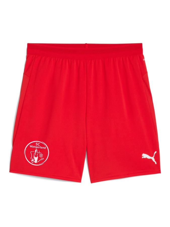 PUMA teamCUP Shorts