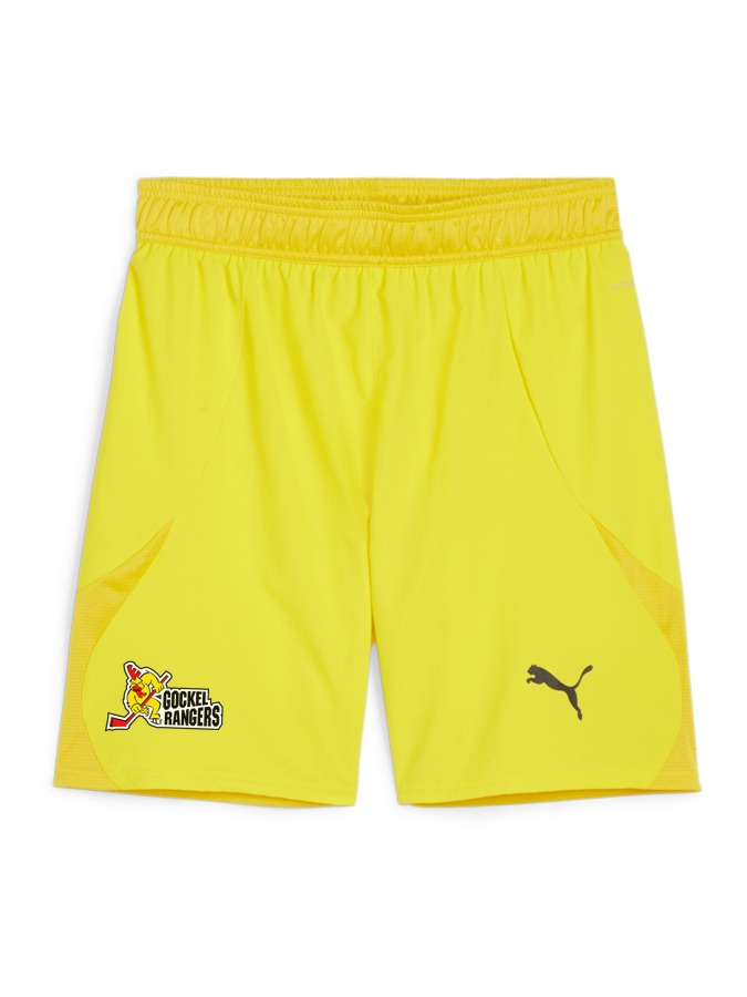 PUMA teamFINAL Shorts