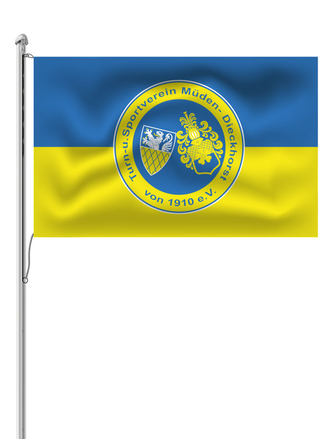 Hissfahne Logo