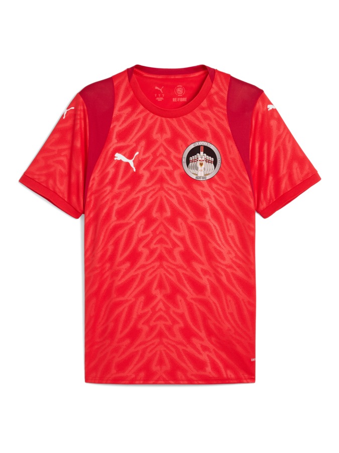 PUMA teamCUP Trikot