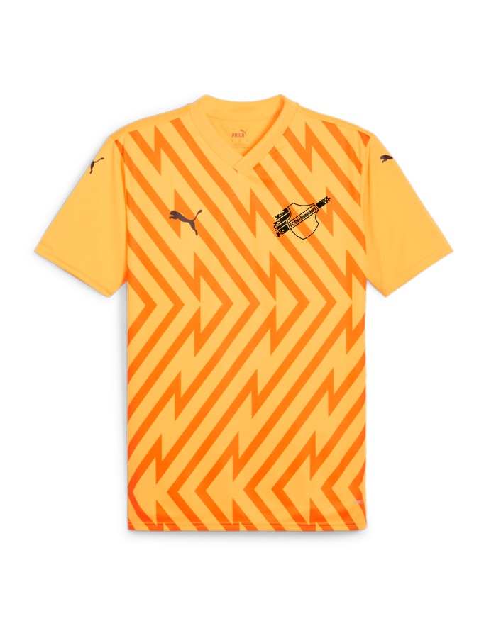 PUMA teamGLORY Trikot