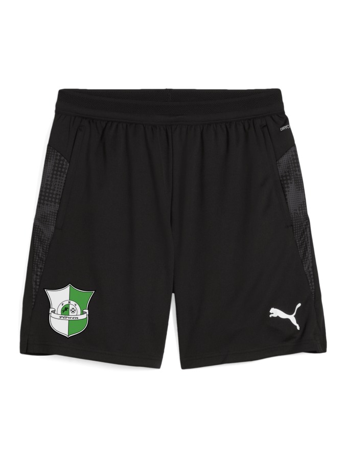PUMA teamCUP Training Shorts