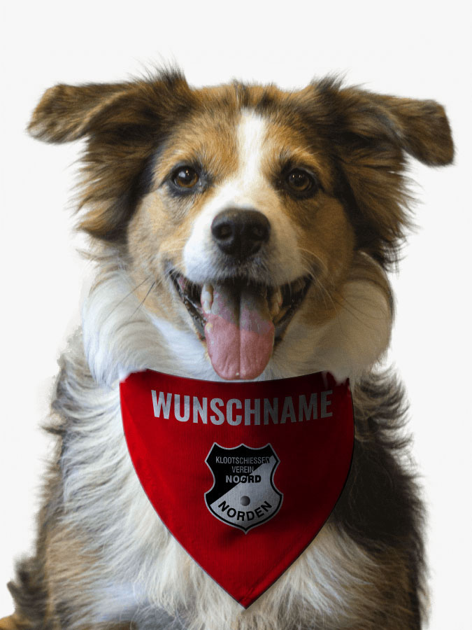 Hundehalstuch