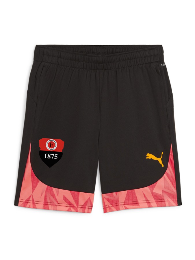 PUMA individualFINAL Shorts
