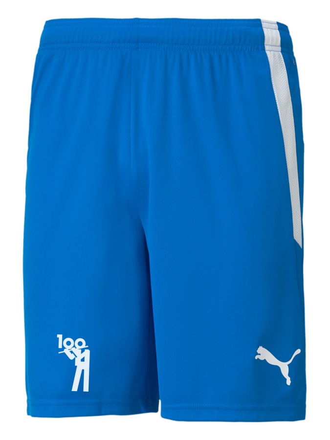 PUMA teamLIGA Shorts
