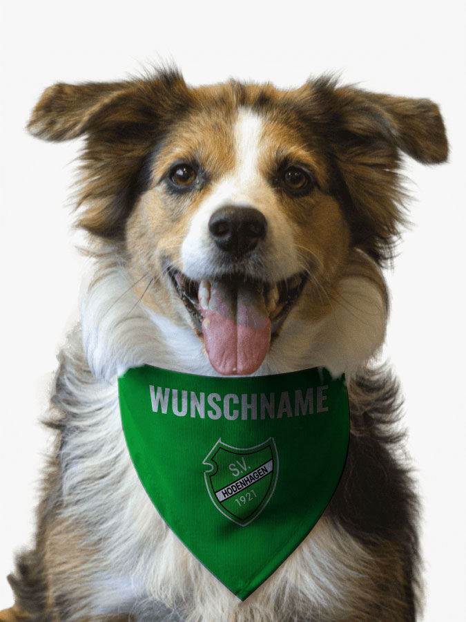 Hundehalstuch