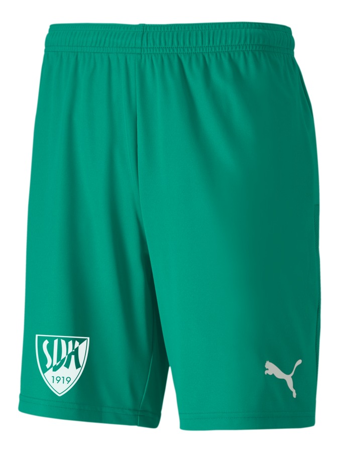 PUMA teamGOAL 23 Knit Shorts