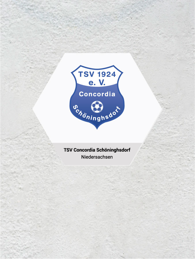 Wandkachel Hexagon mit Logo