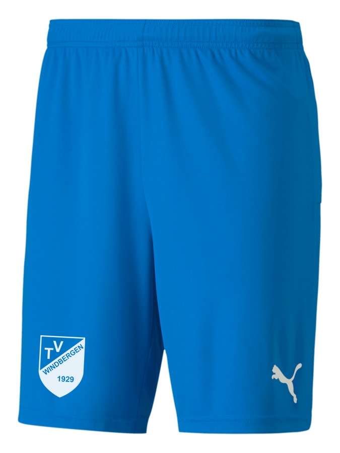 PUMA teamGOAL 23 Knit Shorts