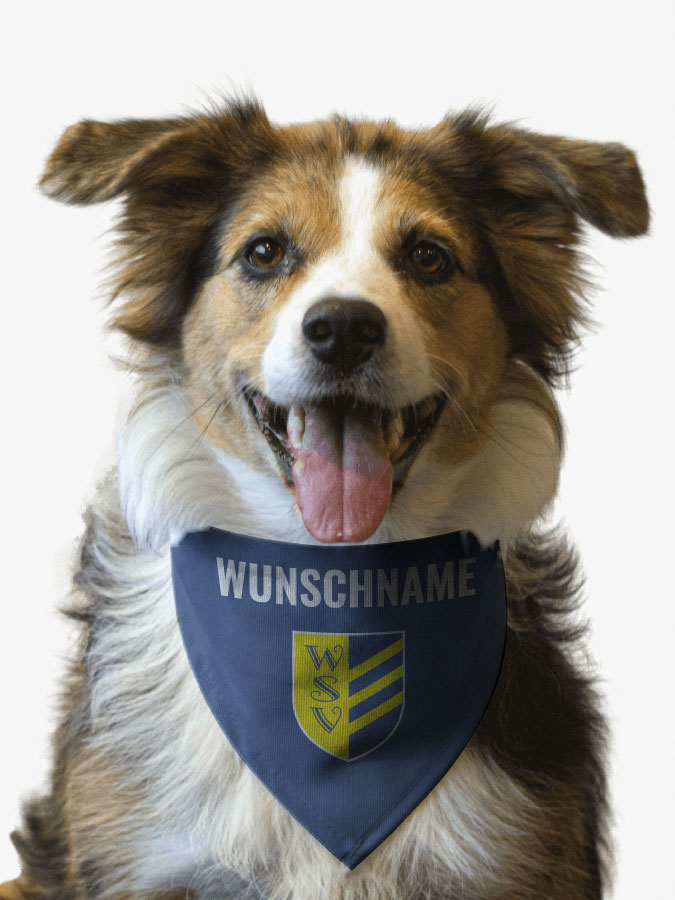 Hundehalstuch