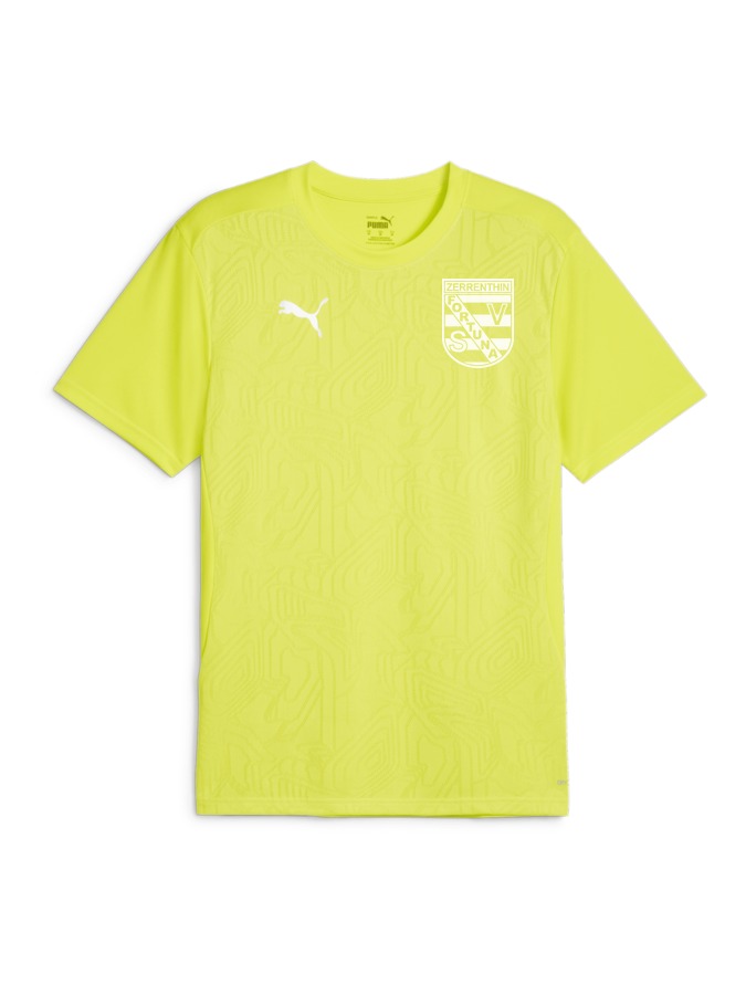 PUMA teamFINAL Trainingsshirt