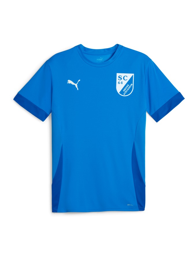 PUMA teamGOAL Matchday Trikot