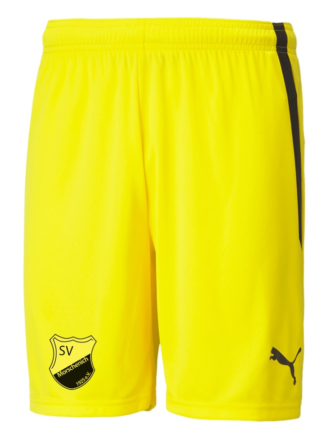 PUMA teamLIGA Shorts