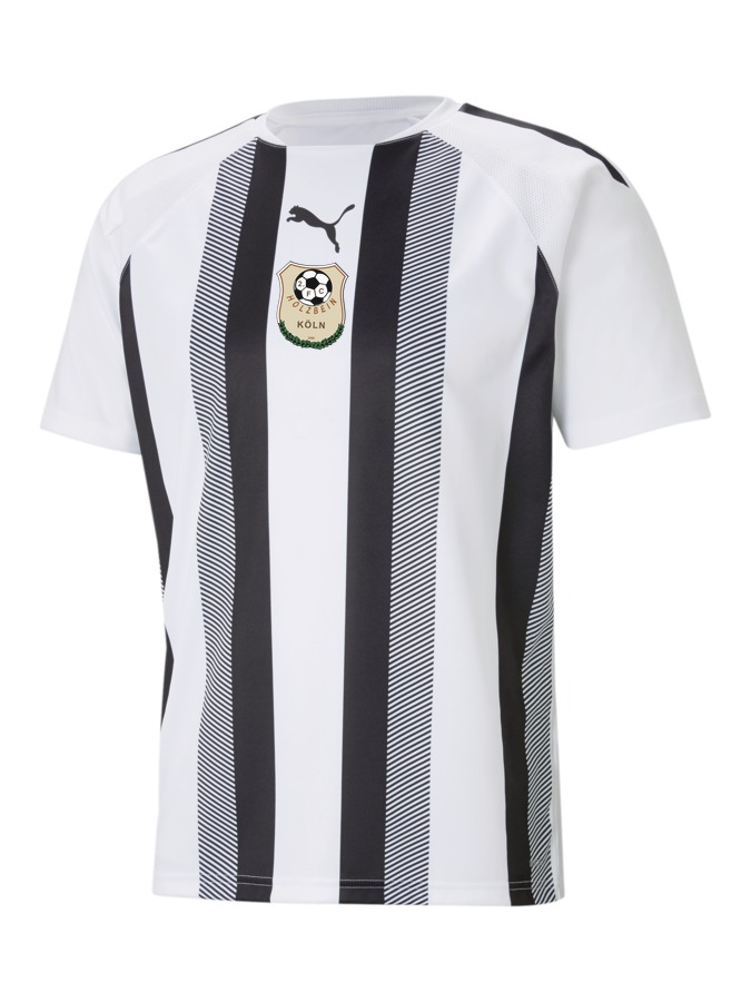 PUMA teamLIGA Striped Trikot