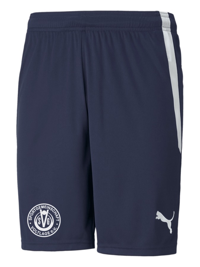 PUMA teamLIGA Shorts