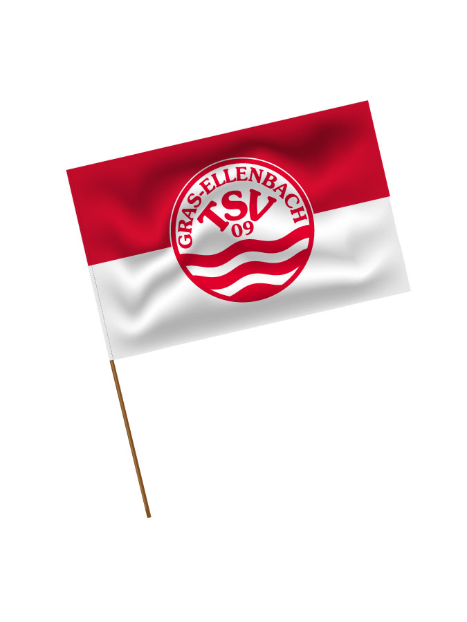 Stadionfahne Logo